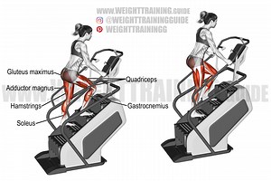 Stairmill climb exercise instructions and video | weighttraining.guide