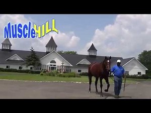 Muscle Hill at Southwind Farm - July 31, 2014