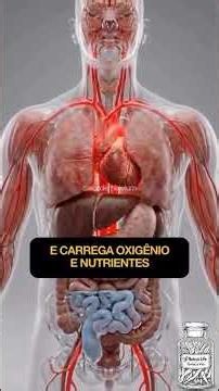#água,Da hidratação aos Minerais e nutrientes benéficos à saúde Geral, primeiro comentário no vídeo👇