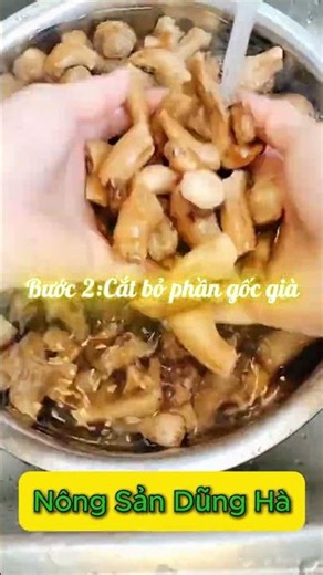 Chân Nấm Hương Có Ăn Được Không? Mẹo Chế Biến Không Bị Dai