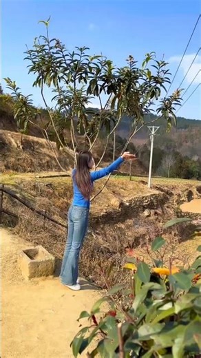 Spring Breeze Reminds Me of Lost Youth #Hometown #RuralLife #Memories