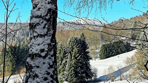 Wetterrückblick: Ein sehr kalter Januar mit viel Sonne - inSüdthüringen