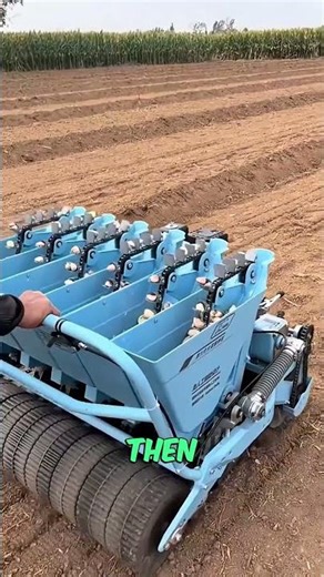 Modern Garlic Planting Machine#shorts