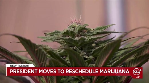 How annual physicals can help detect hidden health risks