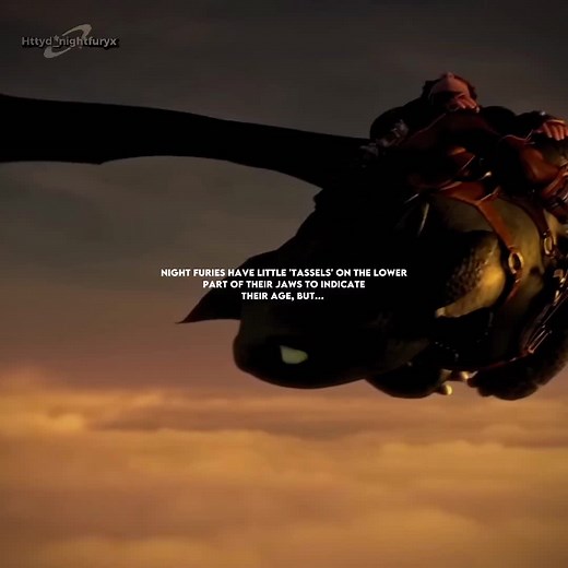 Discovering New Heights: The Evolution of Dragons in HTTYD