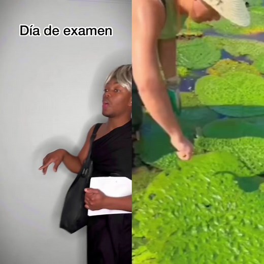 #fyp #foryoupage #funny #foryou #tiktok #pourtoi