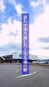 遊べておいしい･･･だけじゃない！思わず寄り道したくなる山口県の道の駅