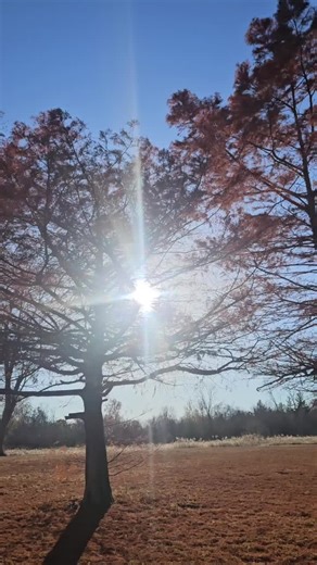 GoAskAlice (@go.ask_alice)’s videos with original sound - Wisdom Keepers