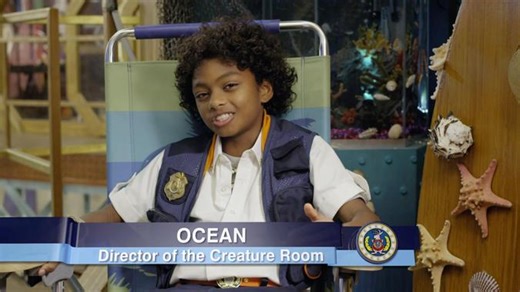 Odd Squad - Agent Ocean Video | PBS KIDS