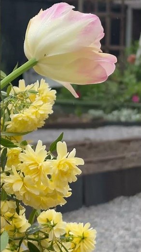 Backyard Transformation with 14'' Corten Steel Edging 🔥✨