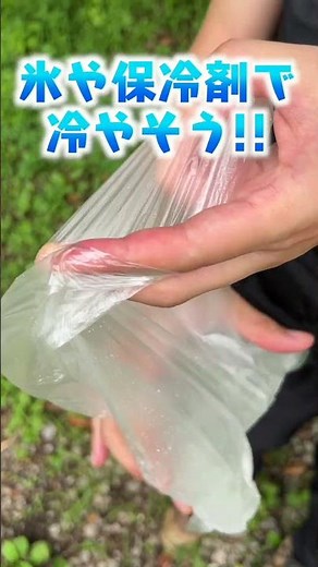 夏キャンプでアブに噛まれた時の対処法