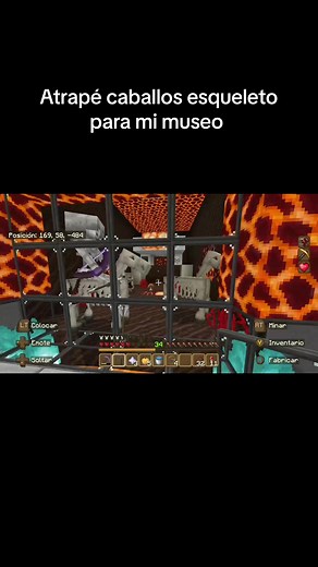 Creando el Museo de Mascotas en Minecraft con Withers