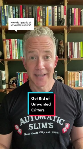 If the 🐭 aren't paying rent, we want them out of here! I've got 4 ways to get rid of those unwanted critters #nycrealestate #homecleaninghack