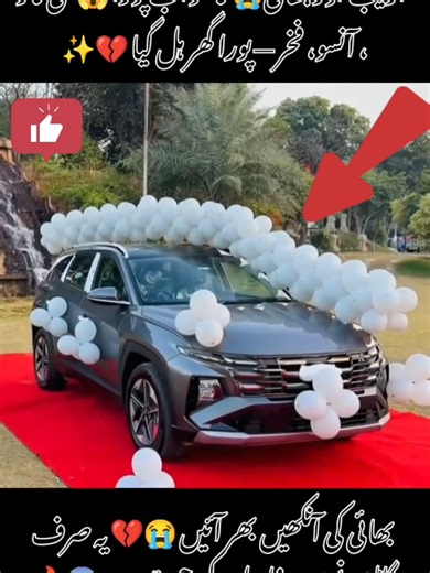 Emotional Reaction to Receiving a New Car