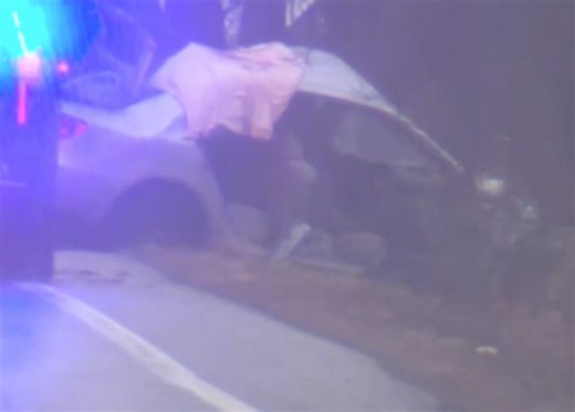 Driver dies after crashing into tree on Route 9A in Mount Pleasant