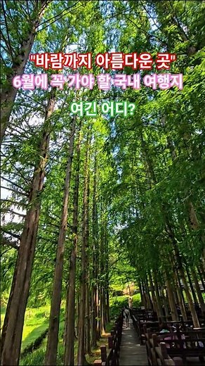 바람만 불어도 힐링되는 청남대 여름 풍경 #청남대 #대통령 #충북여행 #청주여행 #국내여행 #여름여행 #메타세쿼이아길 #음악분수 #대청호 #전망대 #힐링 #여름 #여행 #관광