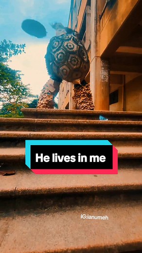 Intricate Turtle Climbing Stone Steps in Nature