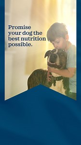 Find a recipe with the superior ingredients your dog deserves from BLUE. | Blue Buffalo