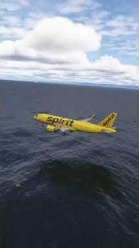 Crazy Crosswind Landing Face-off - 207