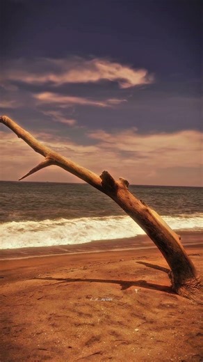 capcut tutorial #capcut #editor #videoediting #foryou #explore #happiness