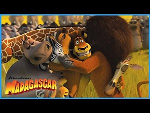 Alex's African Family Reunion! 🦁 | Dreamworks Madagascar: Escape 2 Africa | Extended Preview