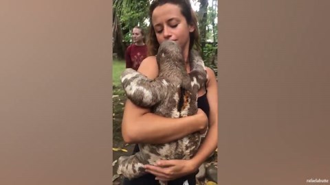 Sweet animal clips that instantly lift your spirits