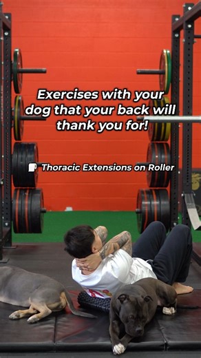 James Lu - Injury Rehab 🇨🇦 | 🐶 𝗘𝘅𝗲𝗿𝗰𝗶𝘀𝗲𝘀 𝗪𝗶𝘁𝗵 𝗬𝗼𝘂𝗿 𝗗𝗼𝗴 𝗧𝗵𝗮𝘁 𝗬𝗼𝘂𝗿 𝗕𝗮𝗰𝗸 𝗪𝗶𝗹𝗹 𝗧𝗵𝗮𝗻𝗸 𝗬𝗼𝘂 𝗙𝗼𝗿! 💪 Got back pain? Instead of stretching solo, why not get your furry best... | Instagram