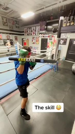 Impressive Blindfolded Boxing Skills
