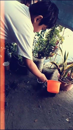 Science Grade 5 SEED GERMINATION (Seeds observation) Day 3