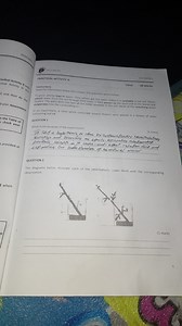 PRACTICAL ACTIVITY 3:ASSSSSMENCTTotal:Instructions:20 Mark... | Filo