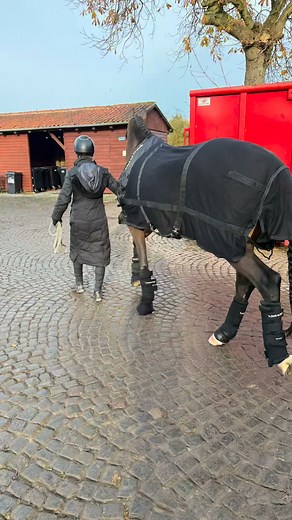 1.4K views · 35 reactions | Er så heldig at uddanne denne fine...