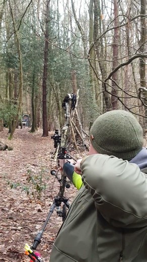 70yd 3d Deer Shot - APA King Cobra #archery #sport #outdoors #hobby #practice #friends #fun #nature