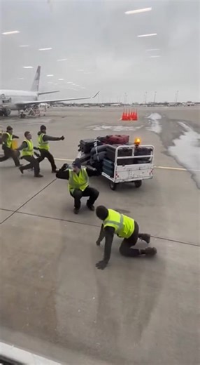 When the bags finally arrive. The videos are made using AI for your entertainment | Chris Foster Team