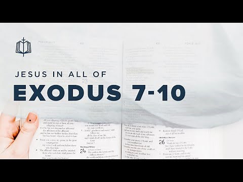 Exodus 7-10 | The Plagues | Bible Study
