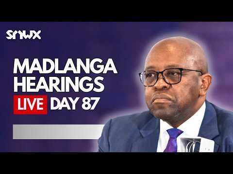 Umashi Dlamini appears before Madlanga Commission