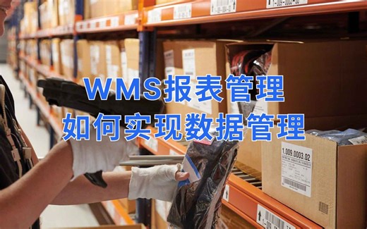 WMS报表管理：让数据管理更科学
