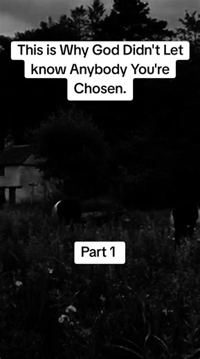 Understanding Your Chosen Path in Life