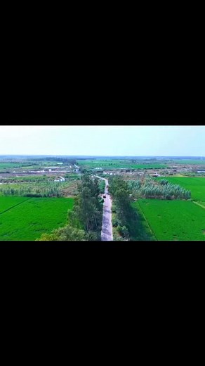 47K views · 306 reactions | ️ 104 Acres Licensed Land | Sector 40 &...