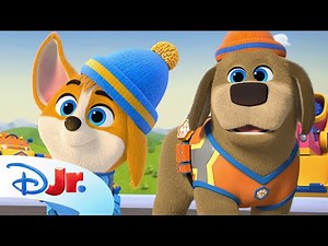 Pupstruction Crew Build's a Blueprint! 👷‍♀️🐶 | Pupstruction | Compilation | ‪@disneyjr‬​