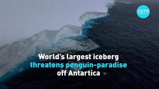 World's largest iceberg threatens penguin-paradise off Antarctica