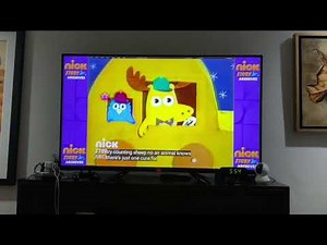 Nick Jr. - Story Time: Moose and Zee's Pillow Delivery 🚚📦 Service