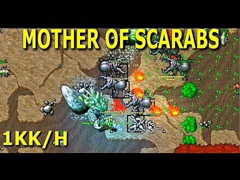 Tibia · Hunt Guide 2019 · MS/ED 80+ · 1KK/H AT 90 · Mother of Scarabs Lair (Solo Hunting)
