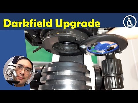 🔬 Upgrading a microscope to darkfield | Amateur Microscopy