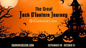 Visit Southwick's Zoo, More than a Zoo in Mendon, MA and experience The Great Jack O'Lantern Journey. Visit southwickszoo.com for tickets, directions and more. Use promo code JACK3 for $3 off. | Insight New England