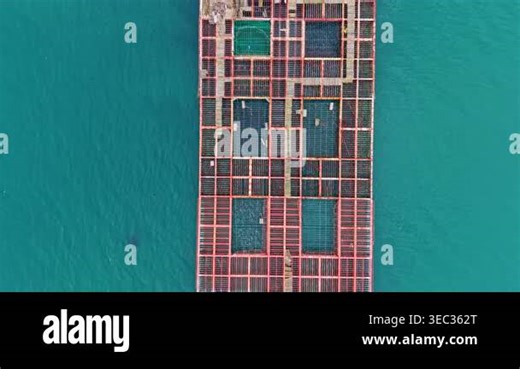 Mussel farm located in the sea has several cultivation structures. Workers can be seen extracting mussels. The water surrounds the farming area under bright sunlight Stock Video Footage - Alamy
