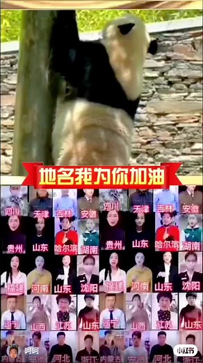 Amy Liu (@amy.liu35)’s videos with suara asli - Amy Liu