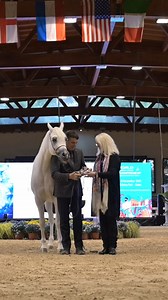 As we congratulate Vincenzo, ANICA Associazione Nazionale Italiana Cavallo Arabo and all the organising committee of the European Championships & Int. Cup 2023, ANICA President expresses his gratitude to all show sponsors and supporters, and shares opinions, plans and hopes. | Arabian Insider