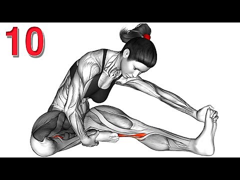 10 Minute Morning Stretches Routine