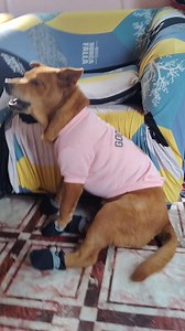 DUCKWALK NI BIGGIETOT | Newbe Woww