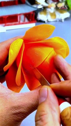 cách tỉa hoa hồng đơn giản bằng củ cải đỏ #amthucdasacmau